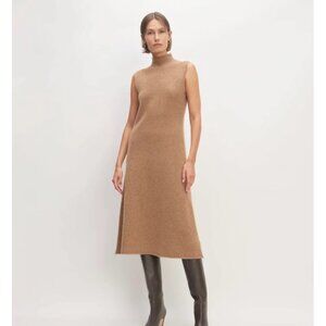 Everlane Wool Turtleneck Dress